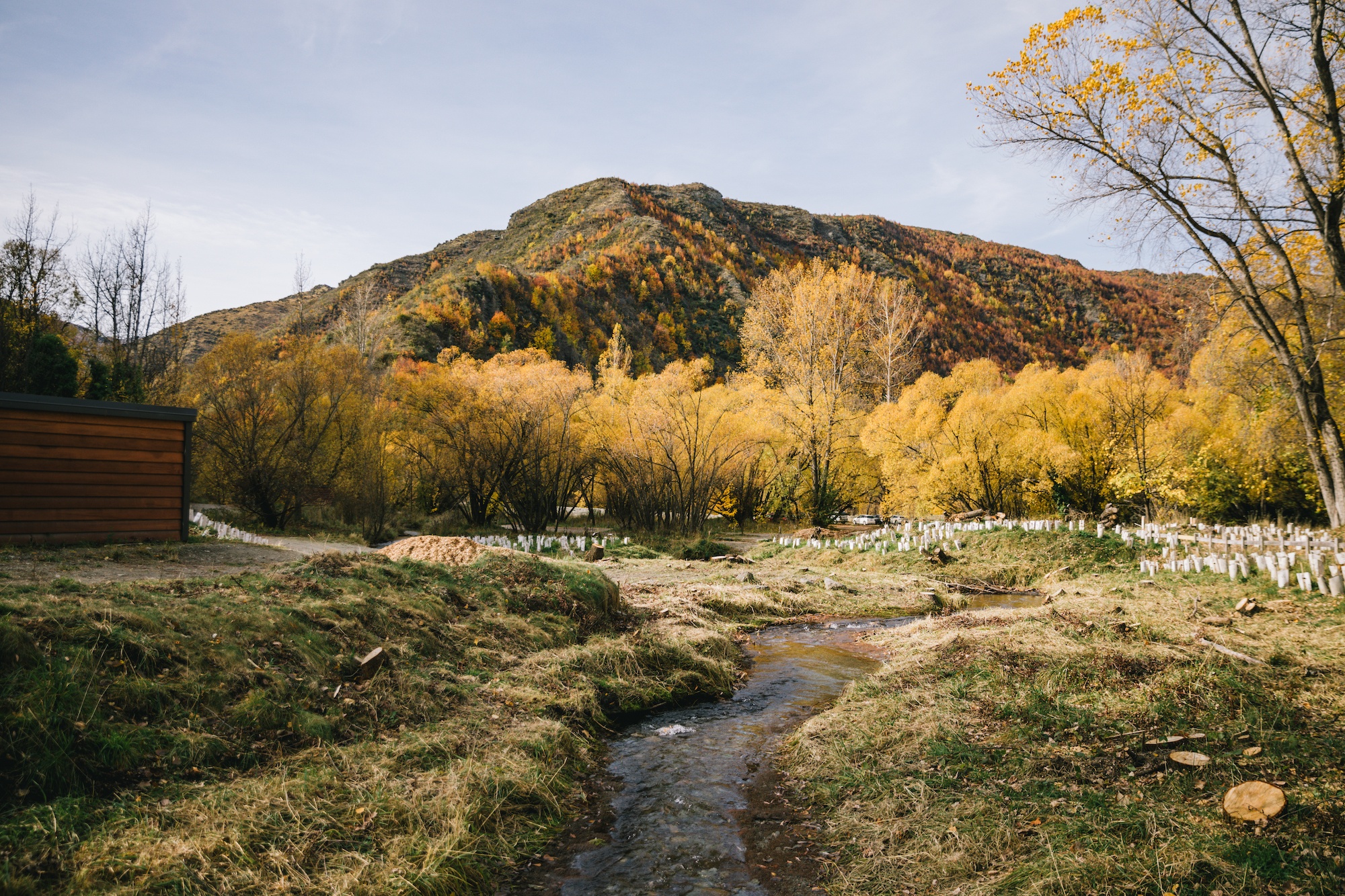 Arrowtown in autumn