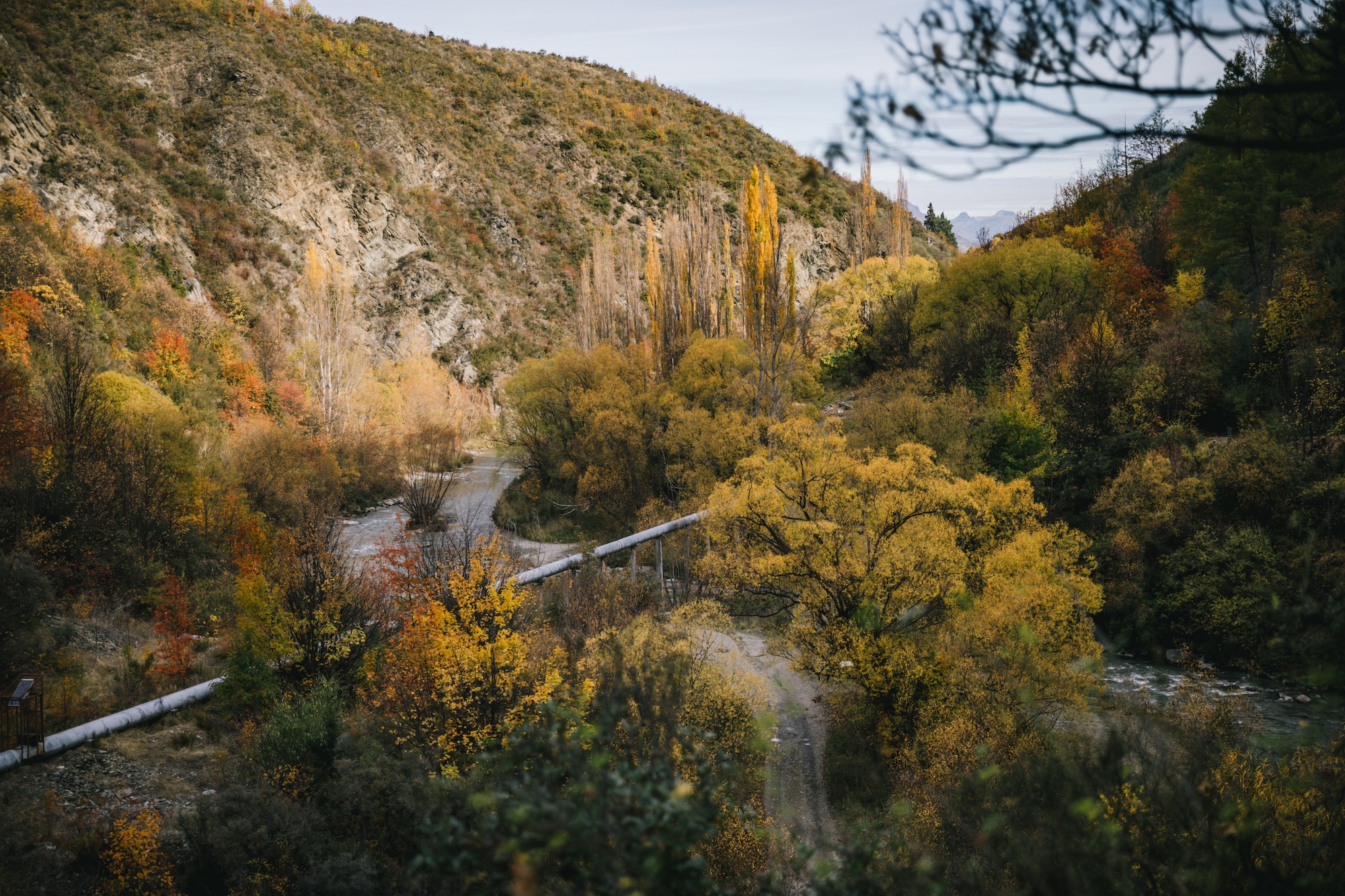 Arrowtown in autumn