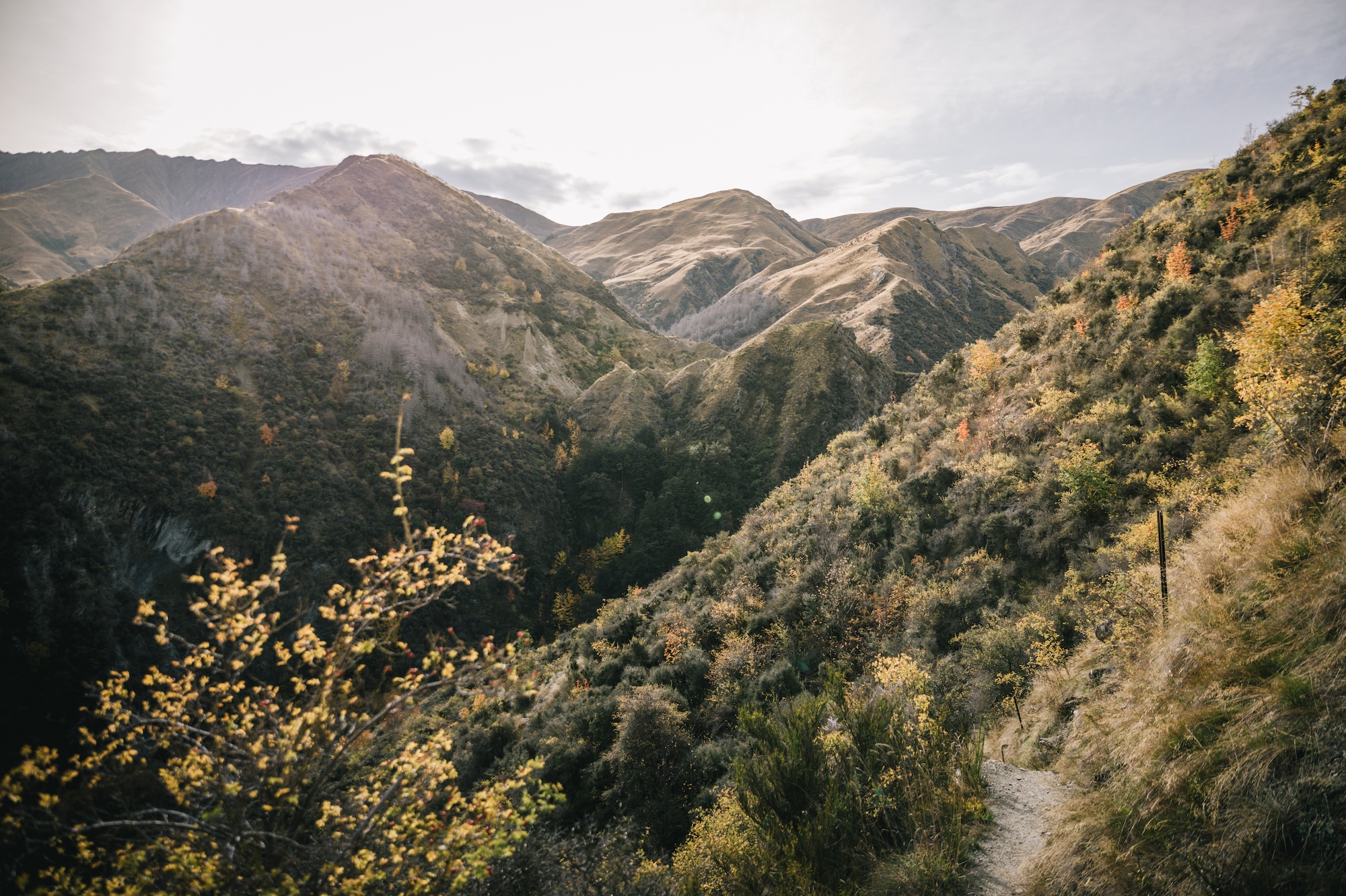 ubco motorbike in New Zealand