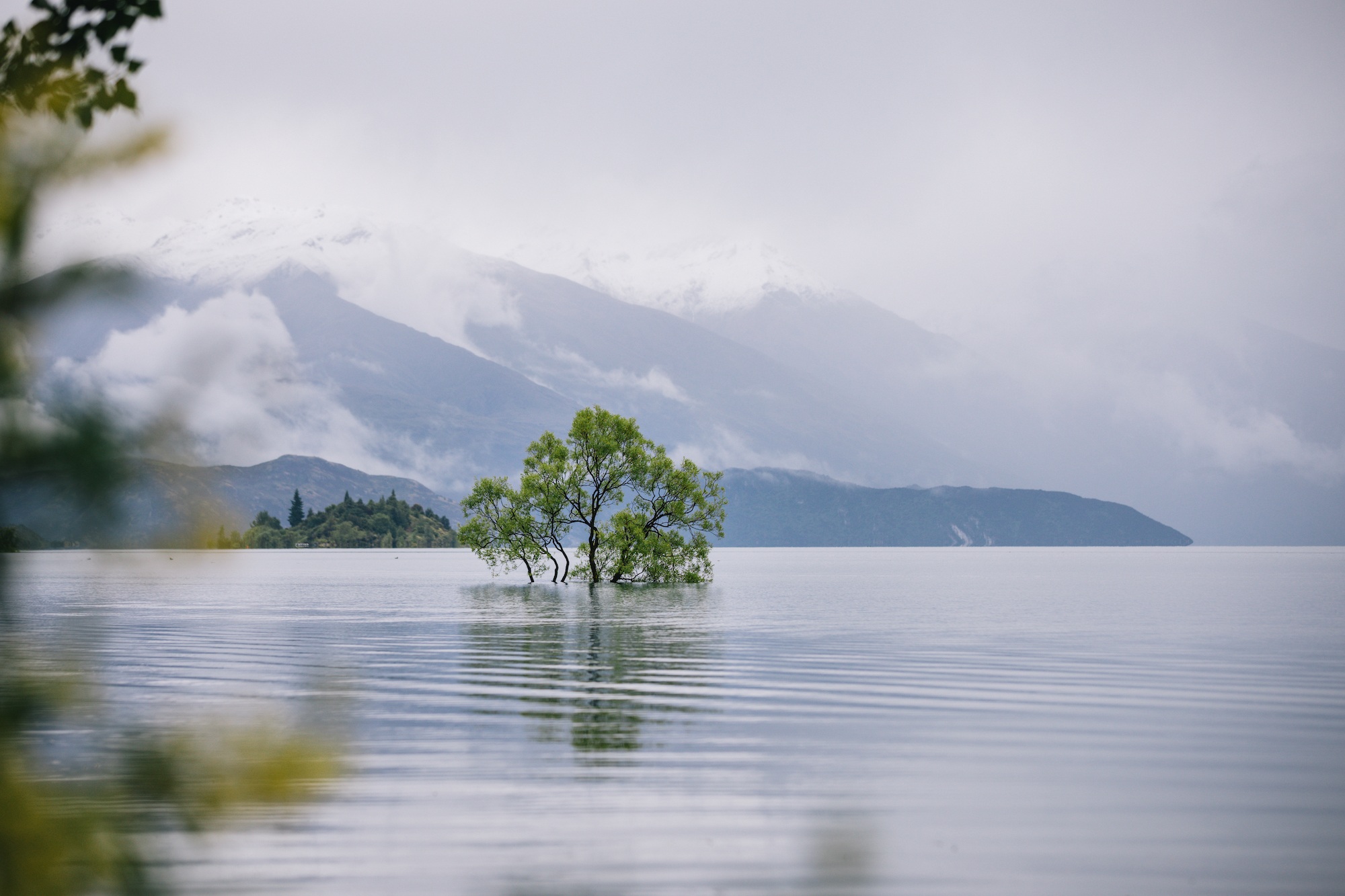 instagrammable spots in wanaka