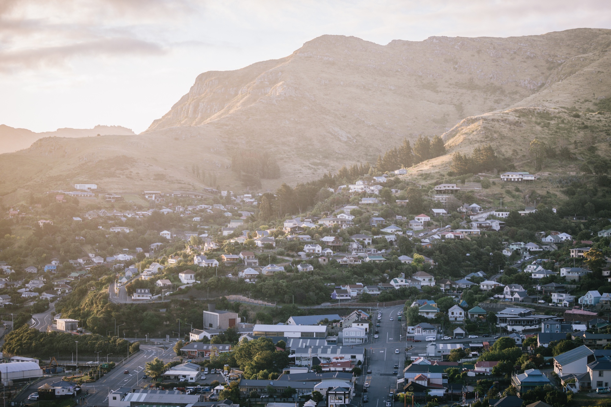 houseplants and design book