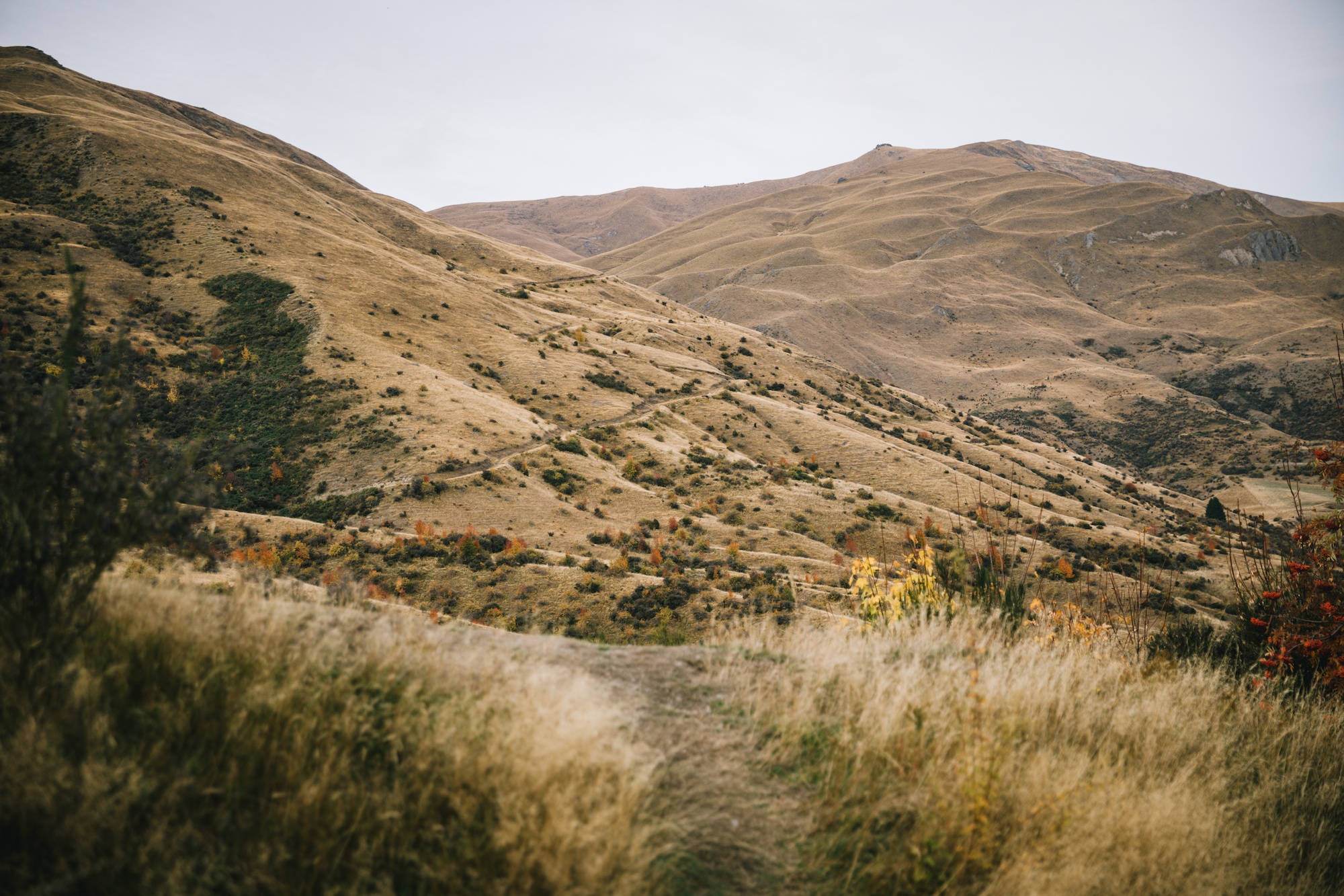 ubco motorbike in New Zealand