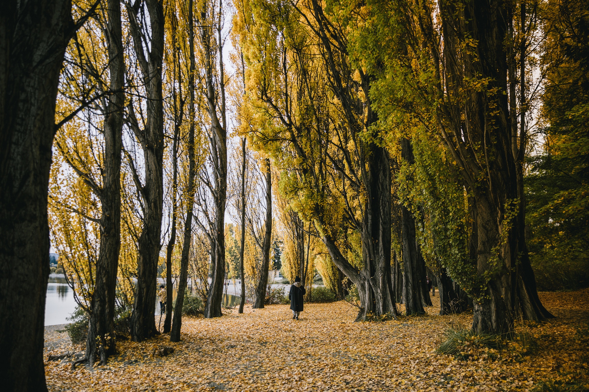 ubco motorbike in New Zealand