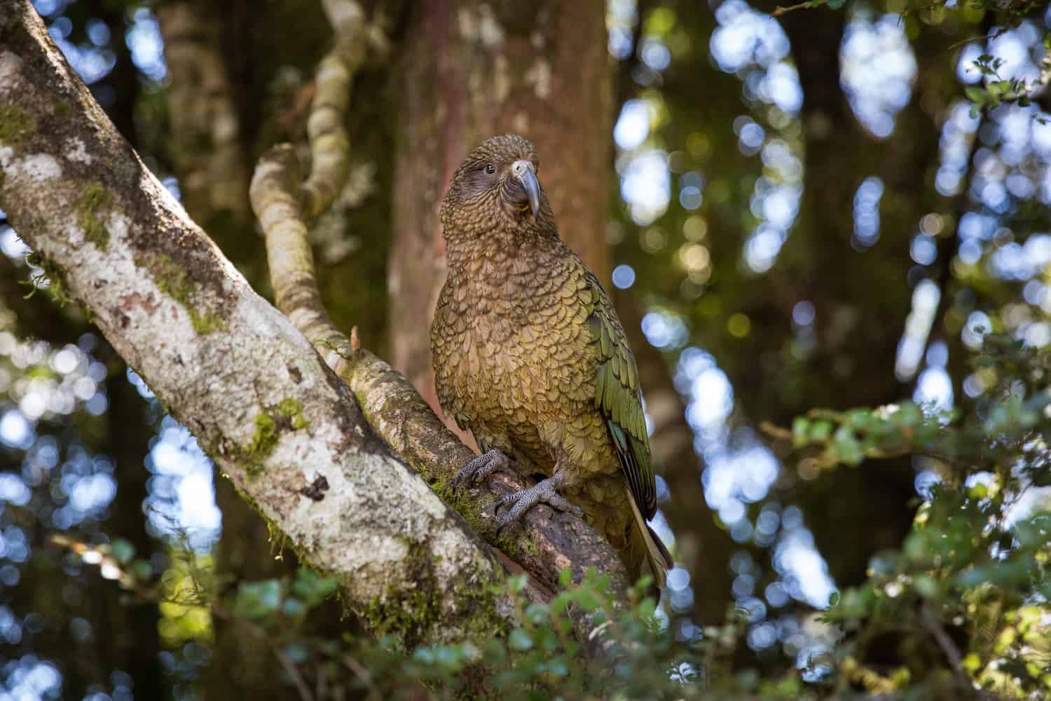 blogger hate comments