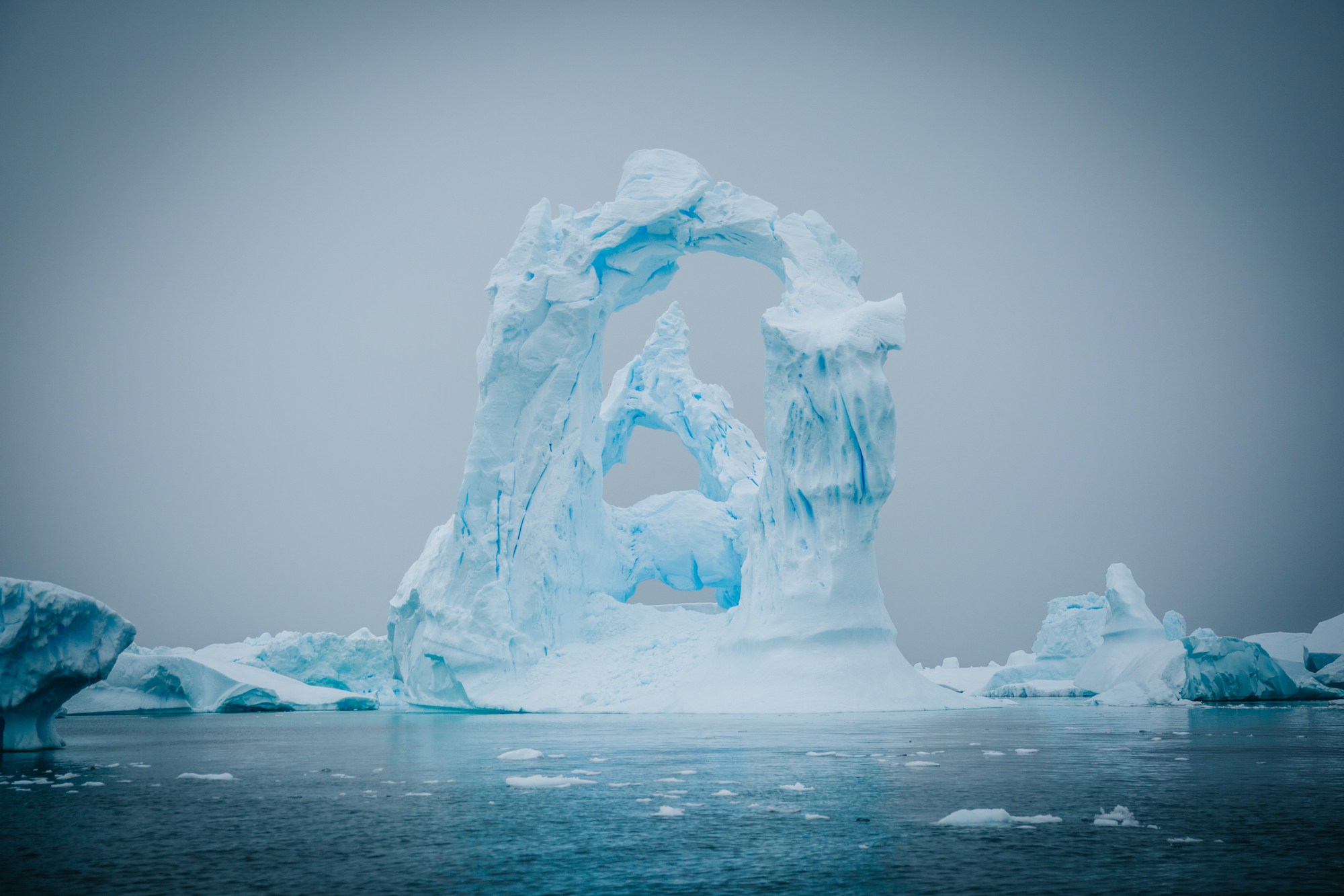 antarctic studies