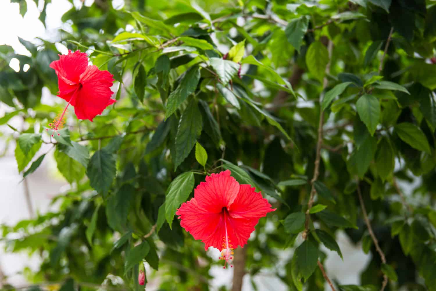 solo travel in romantic places