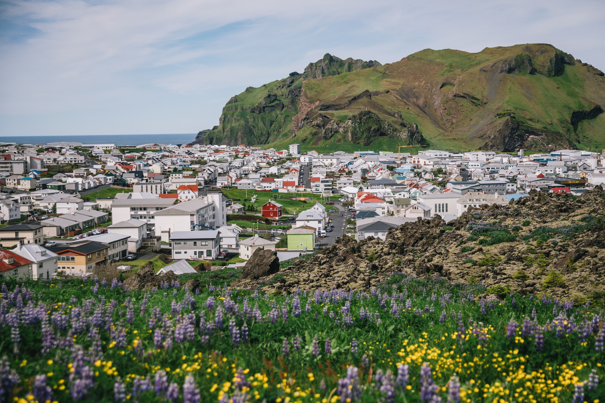 visit iceland by sea