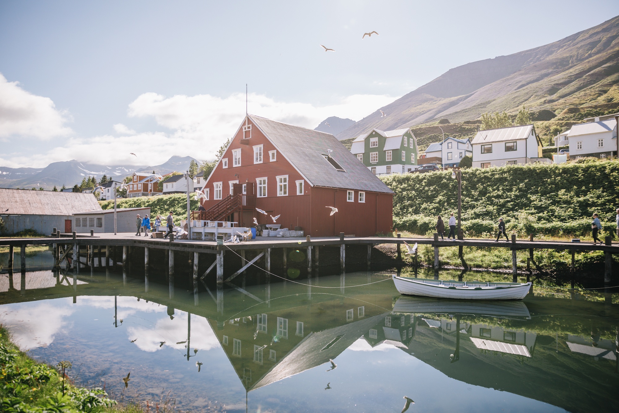 visit iceland by sea