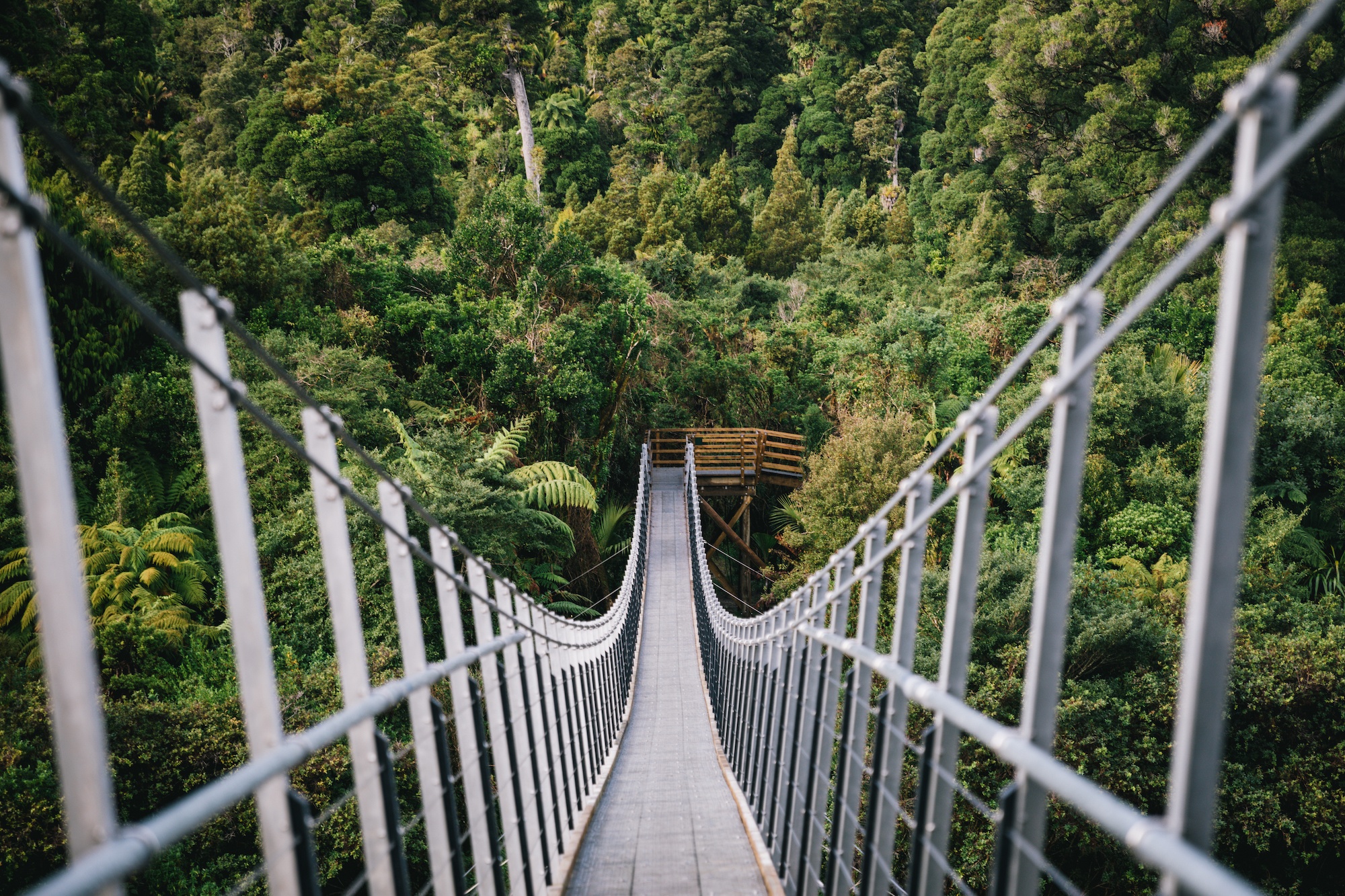 The Heaphy Track
