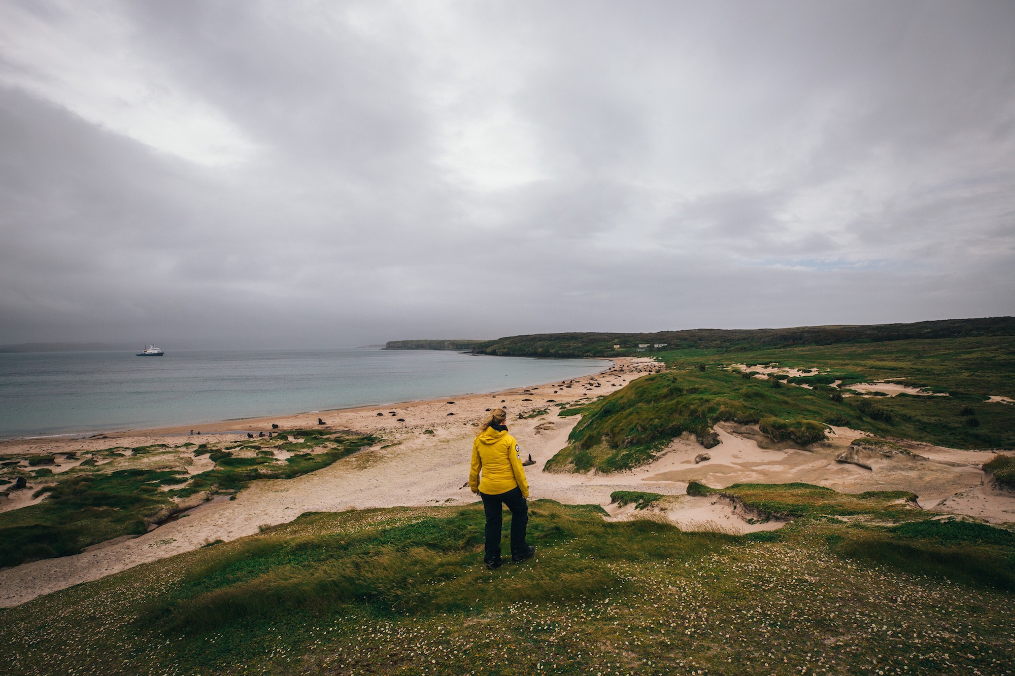 auckland islands travel