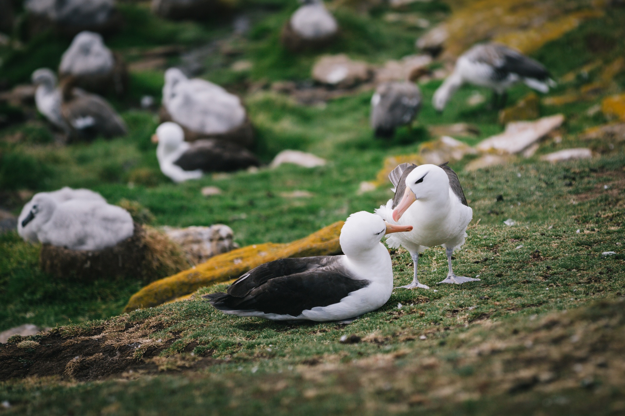 solo female travel in your thirties