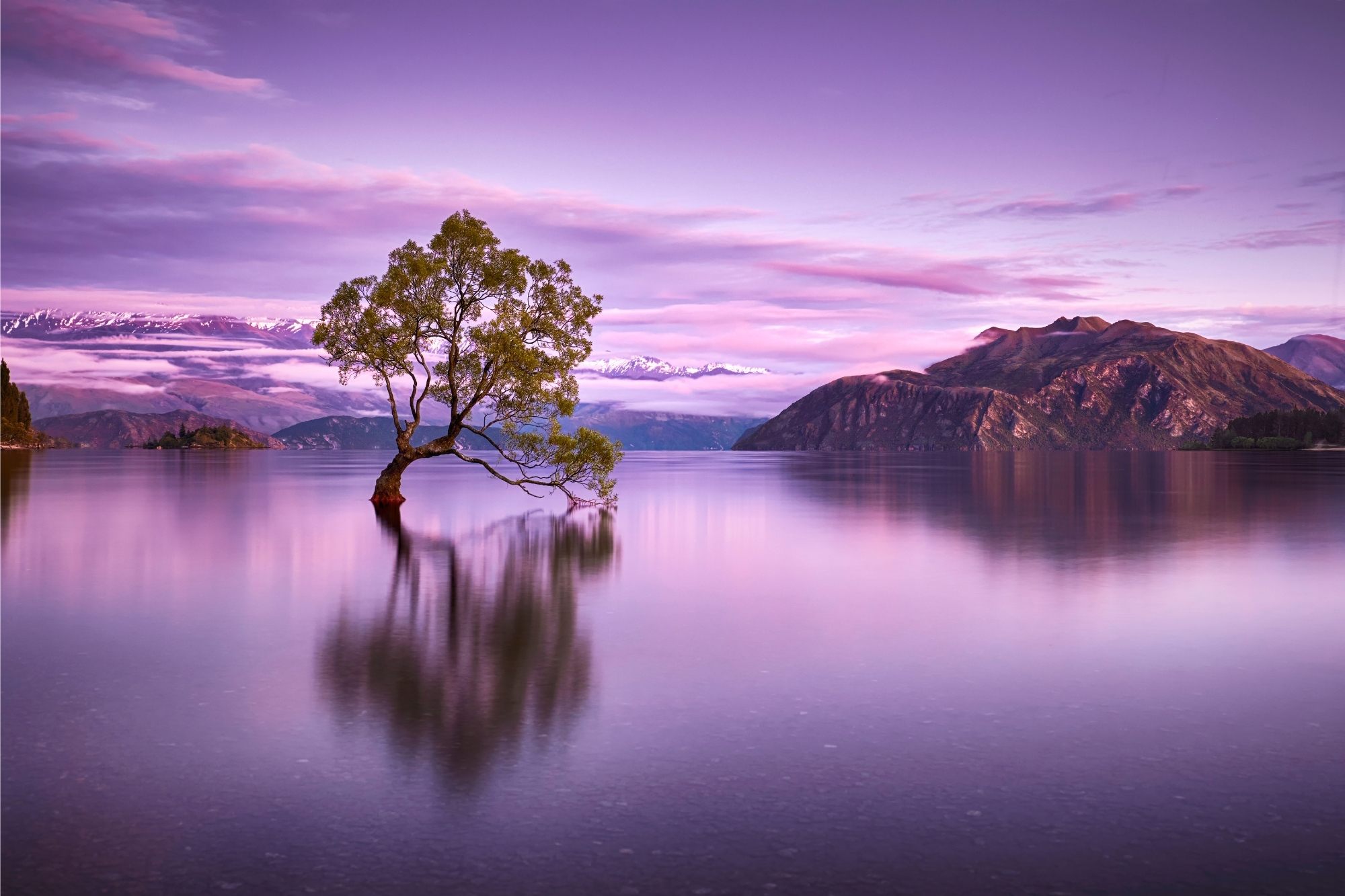 instagrammable spots in wanaka