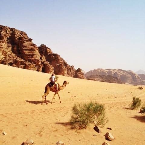 falling off a camel falling off a camel