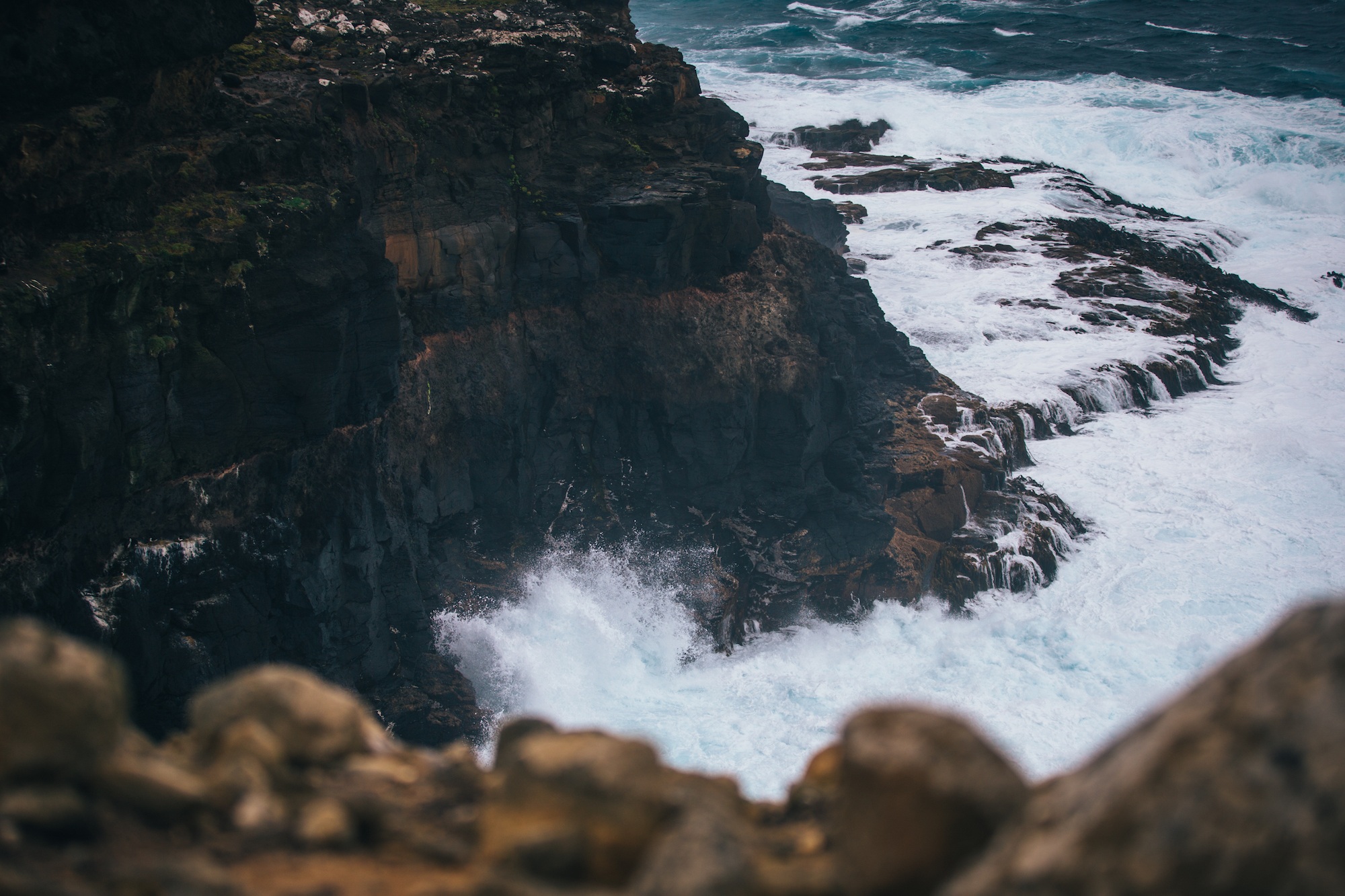 auckland islands travel