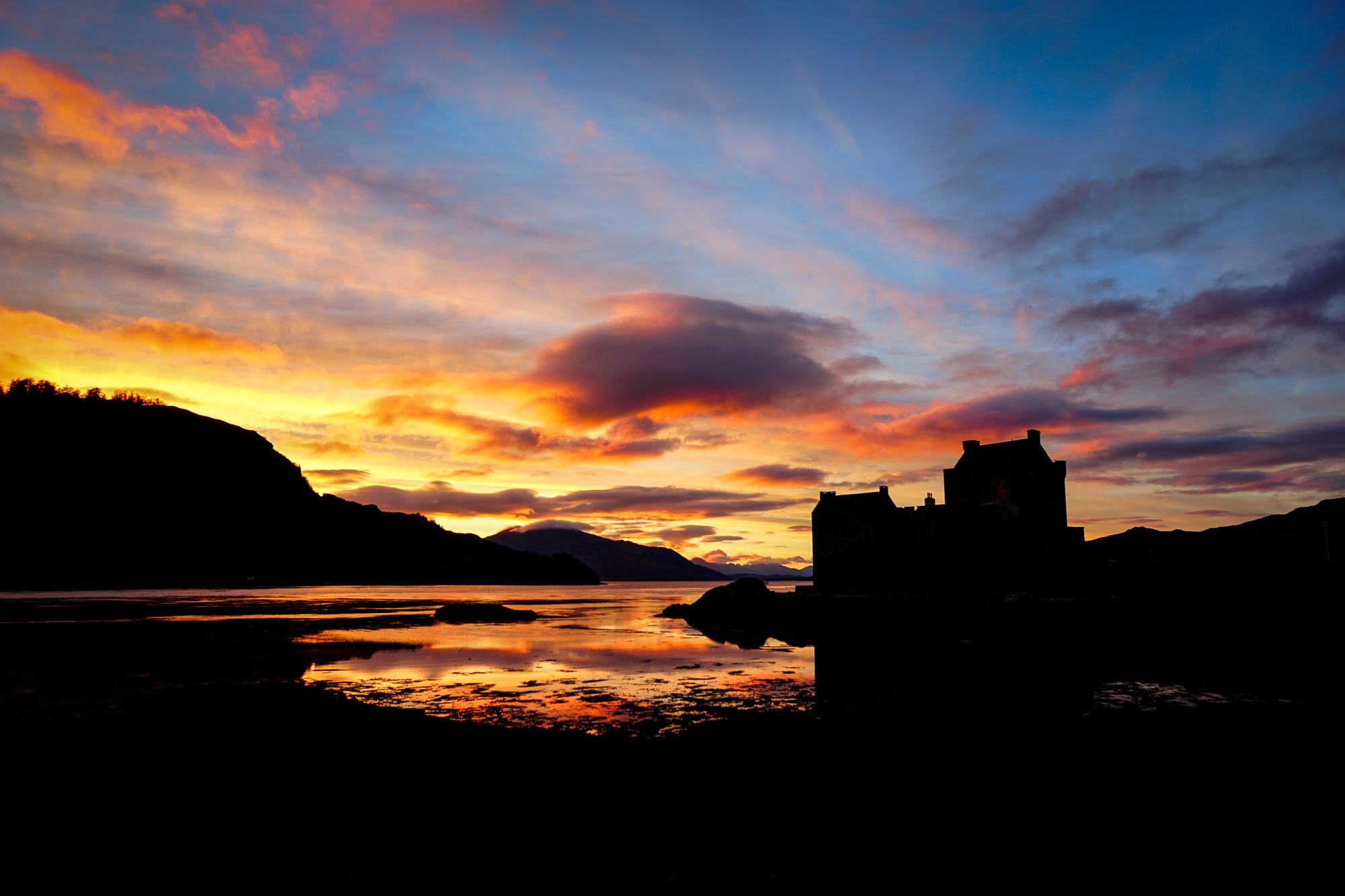 kiwi expat during covid19