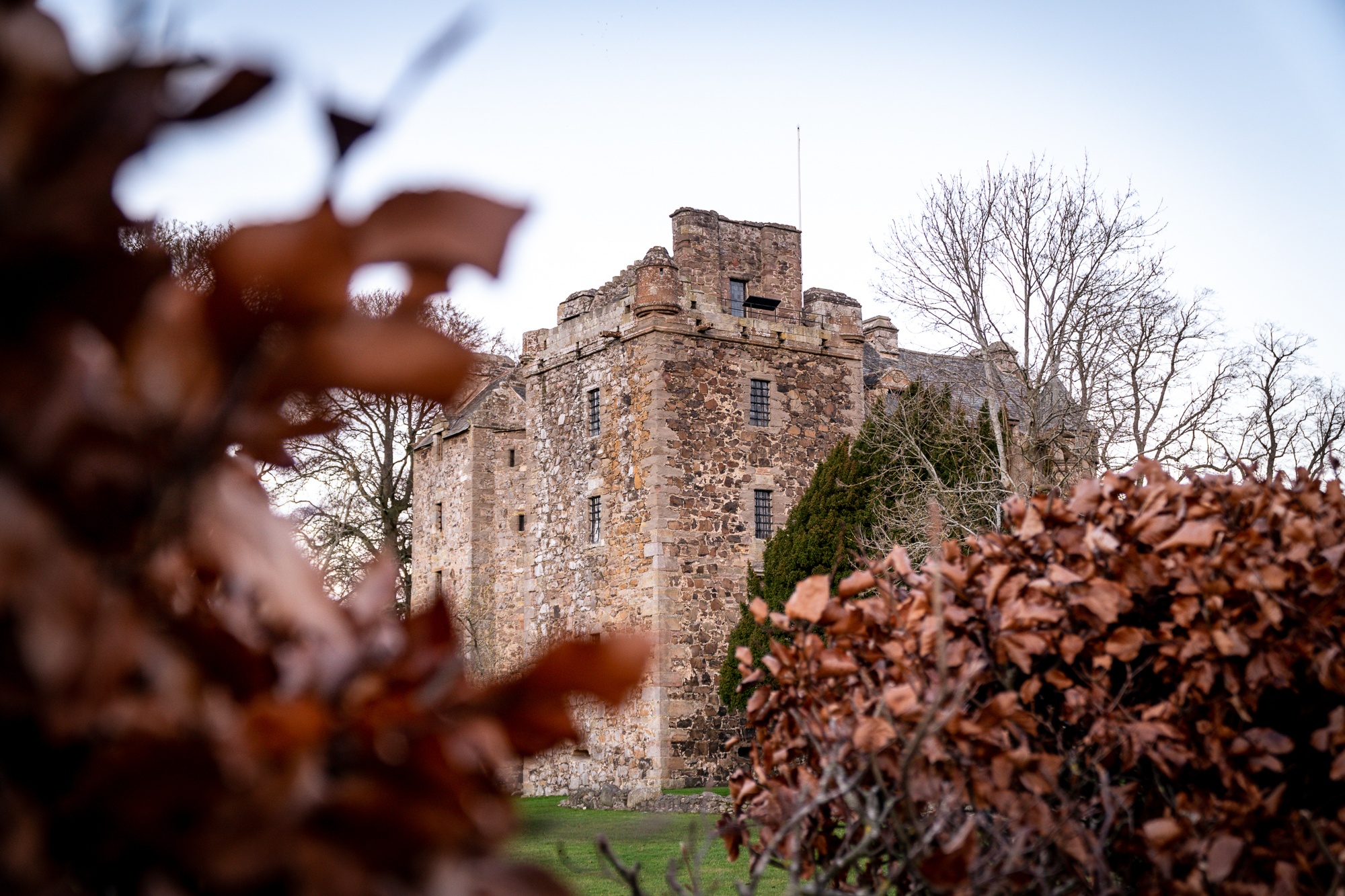 kiwi expat during covid19