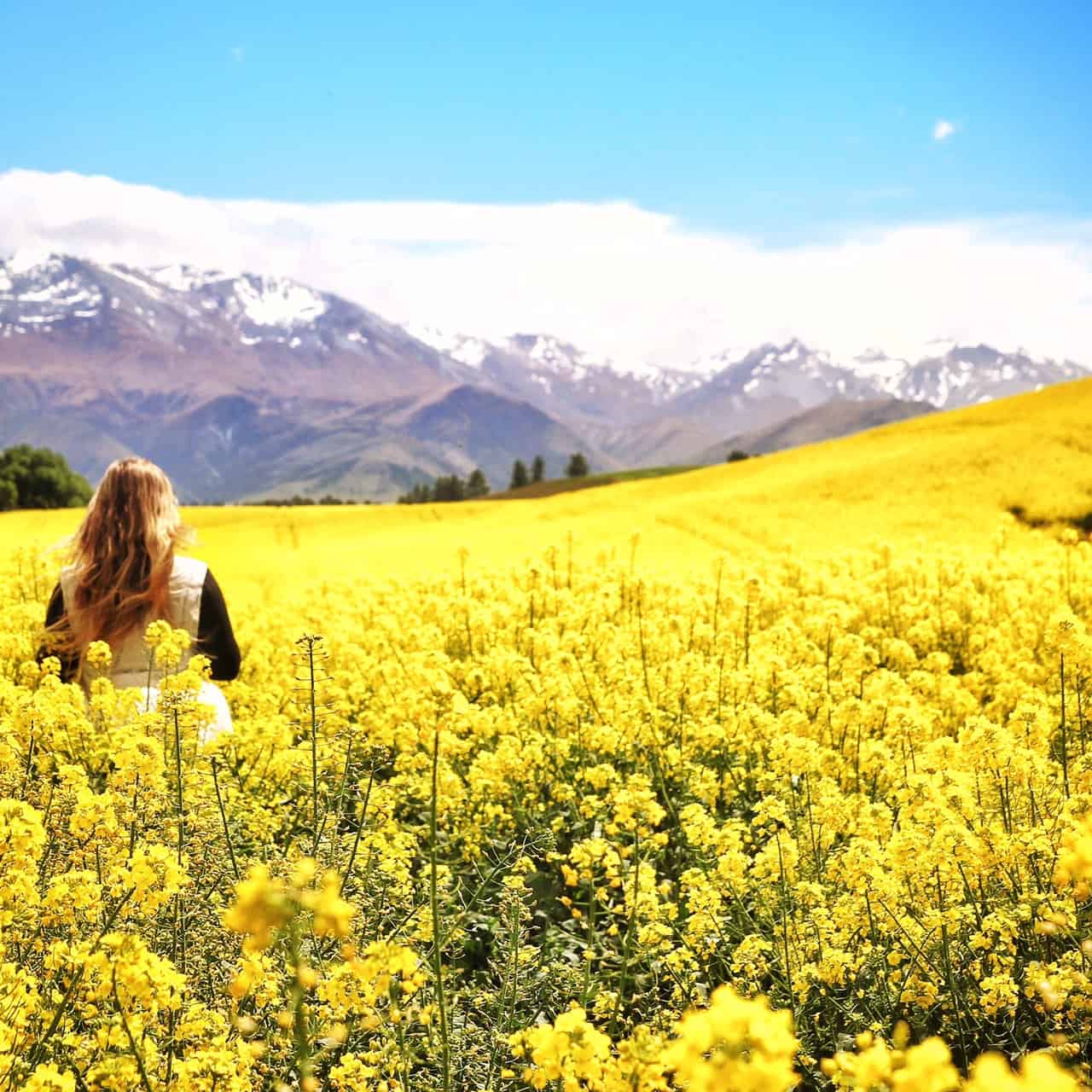 moving to new zealand