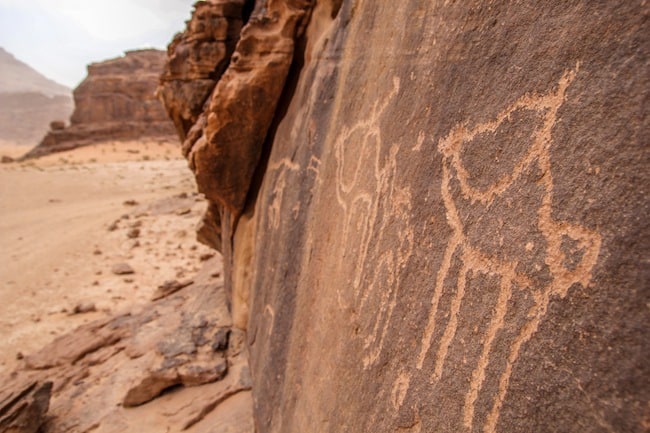 falling off a camel falling off a camel
