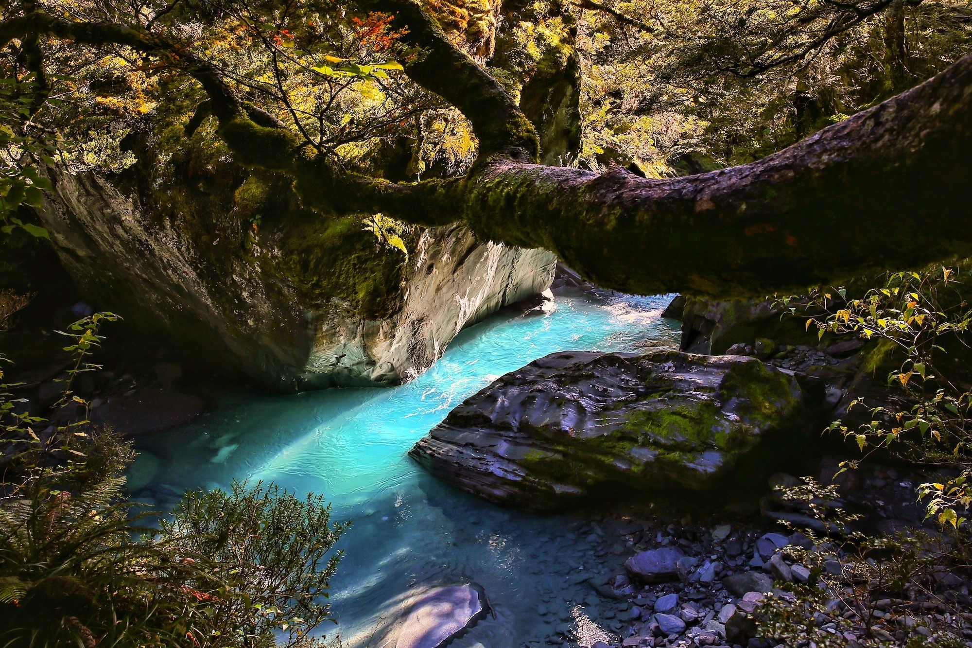 instagrammable spots in wanaka