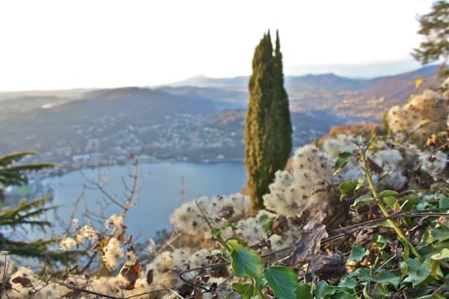 Things No One Tells You about Moving Abroad