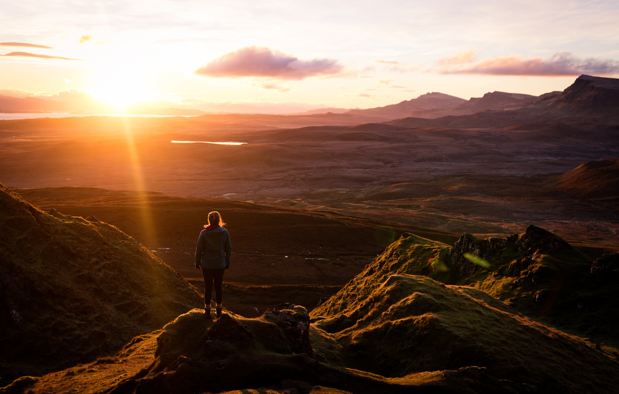 kiwi expat during covid19