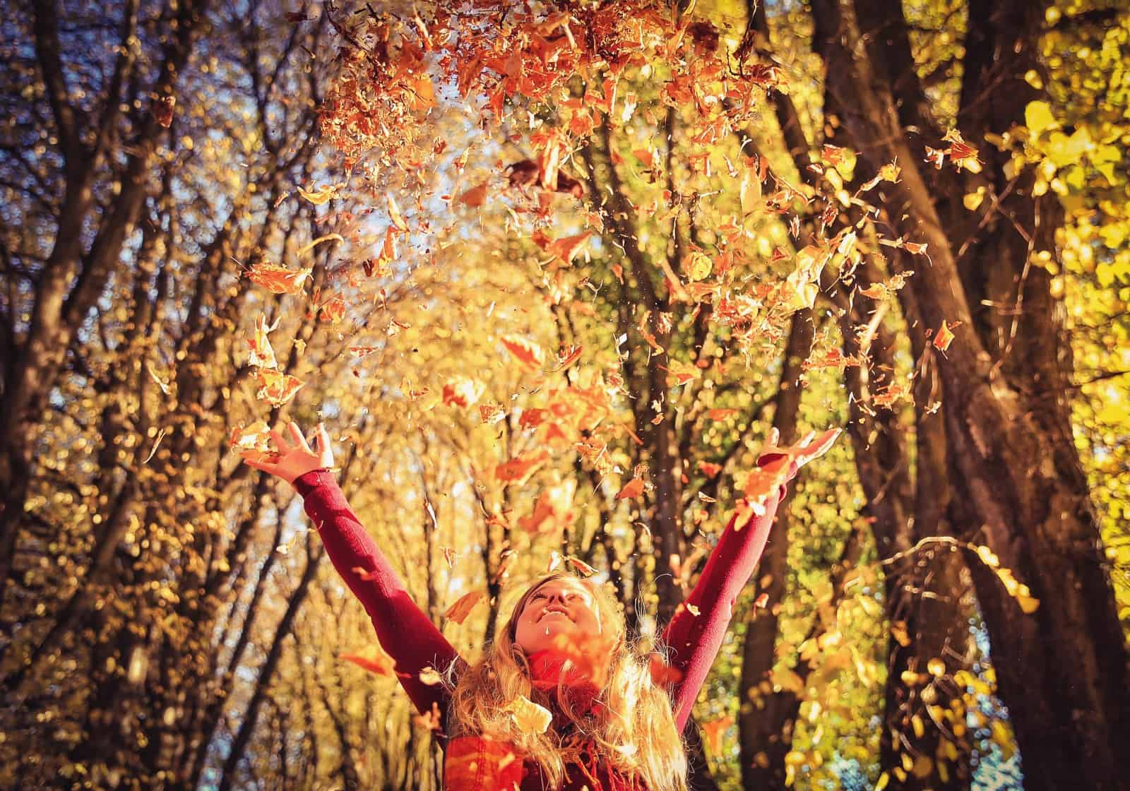 moving to new zealand