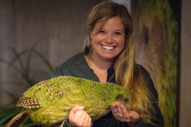 kakapo new zealand