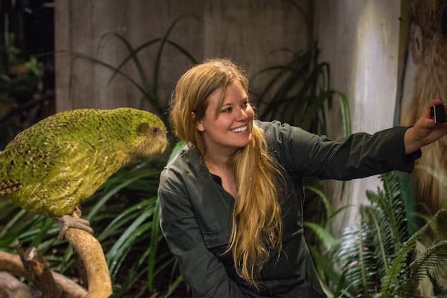 kakapo new zealand