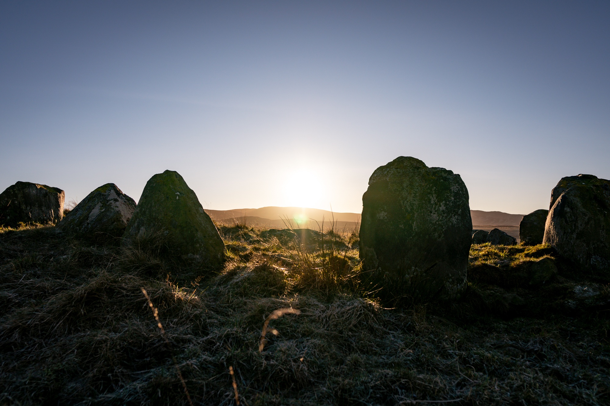 kiwi expat during covid19