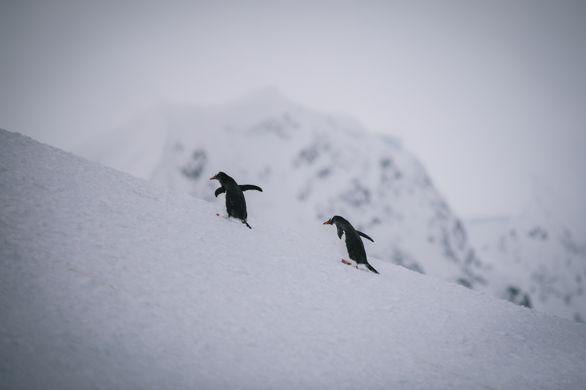 Antarctica is life-changing
